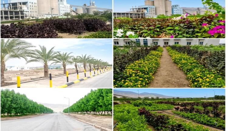 مصنع إسمنت الوحدة.. مساحات خضراء تعانق ركيزة الاقتصاد الوطني في أبين