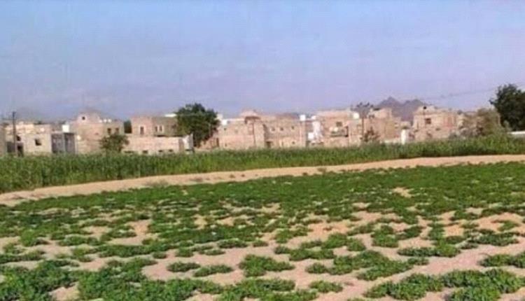 الدرجاج.. اتفاق على التهدئة وتسليم الجناة للعدالة