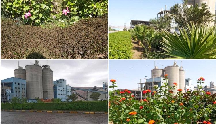 مصنع إسمنت الوحدة.. مساحات خضراء تعانق ركيزة الاقتصاد الوطني في أبين