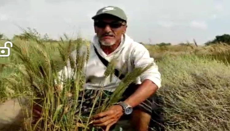 جيلٌ أفنى عمره في الخدمة... وجيلٌ أفنى عمره في الانتظار
