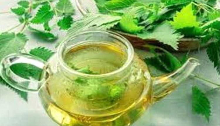 دراسة حديثة: الشاي الأخضر يعزز صحة القلب ويقلل مخاطر أمراض مزمنة