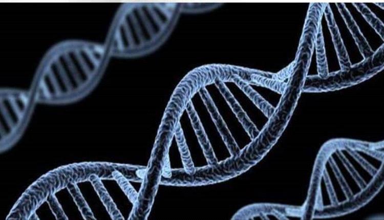 دراسة توائم تكشف: الوراثة تلعب دورًا أكبر مما كان يُعتقد في طول عمر الإنسان