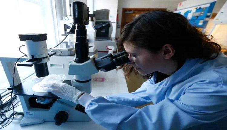 دراسة تكشف دور الطفرات الجينية في نمو الأورام السرطانية