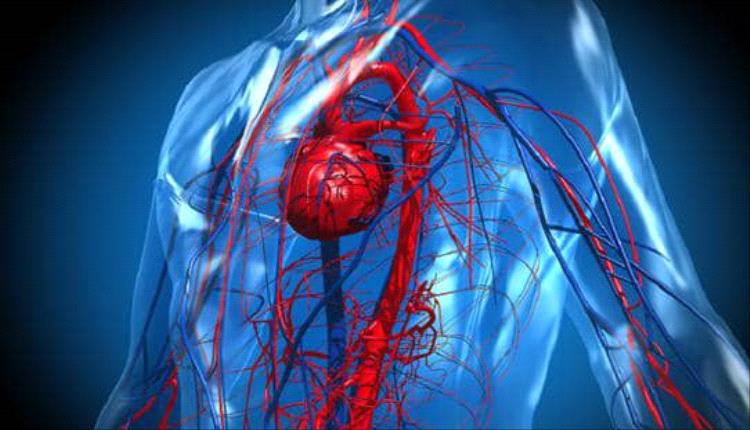 اليابان تمهد لأول علاجات تجارية بالخلايا الجذعية المحفزة لأمراض القلب وباركنسون