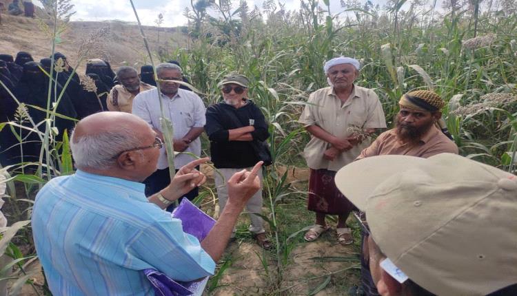 المبيدات الحشرية… كيف تتحول إلى هدية غير مباشرة للأكاروسات؟