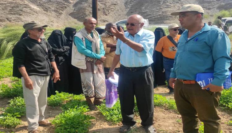 زراعة الفول السوداني في دلتا أبين… بين التغير المناخي وأخطاء المواعيد الزراعية