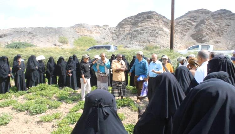 الحقول الإيضاحية: نهاية الزراعة المتخلّفة وطريقنا نحو زراعة حديثة ومستدامة