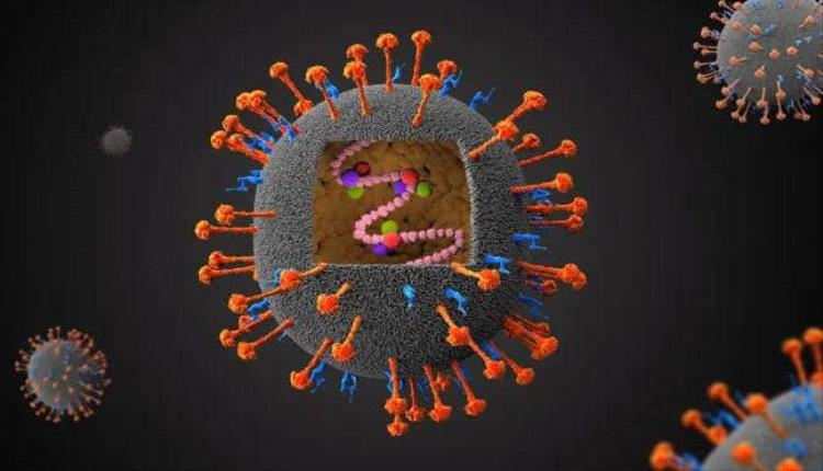 تفشّي فيروس «نيبا» في الهند يدق ناقوس الخطر ويستدعي تأهّبًا آسيويًا واسعًا