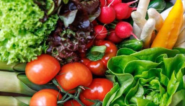 دراسة صينية تؤكد دور النظام الغذائي النباتي في تحسين نوم كبار السن