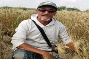 دلتا أبين بين تحديات الموسم الزراعي وآمال النهوض والتنمية