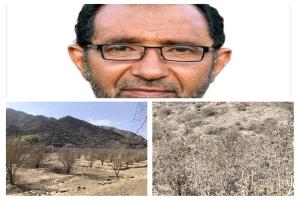 حين يموت البن تموت حكاية وطن