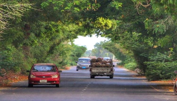بينما زملاؤهم يتقاضون مستحقاتهم.. جنود الجيش والأمن في أبين بلا رواتب لأربعة أشهر ويواجهون شبح الجوع مع أسرهم