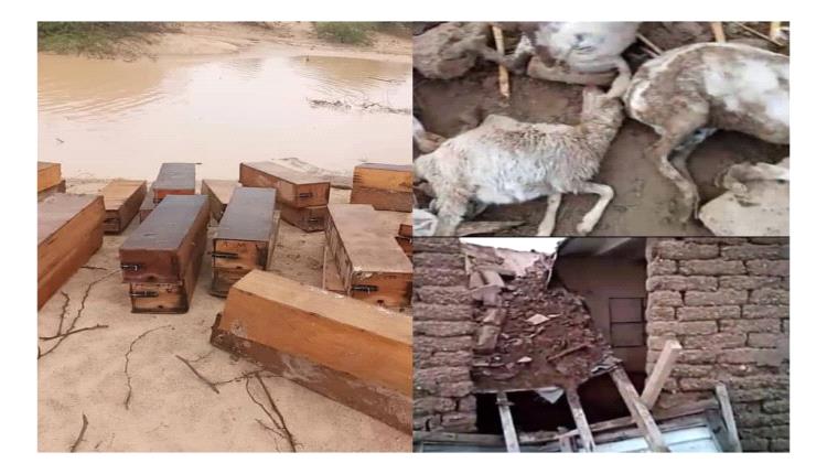 مدير مكتب الزراعة والري في دلتا أحور ينفذ نزولاً ميدانياً لحصر أضرار السيول والأمطار