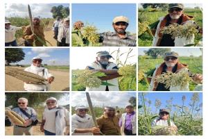 موسم الصيف في اليمن