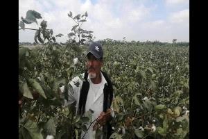 أبين ملكٌ وساحةٌ للجميع