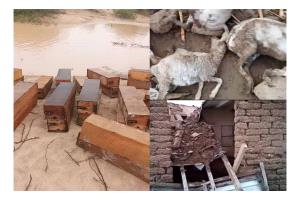 مدير مكتب الزراعة والري في دلتا أحور ينفذ نزولاً ميدانياً لحصر أضرار السيول والأمطار