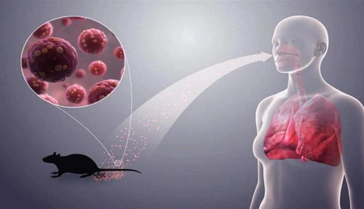 فيروس هانتا يعيد نظريات المؤامرة إلى الواجهة رغم تأكيدات رسمية بعدم وجود تهديد وبائي