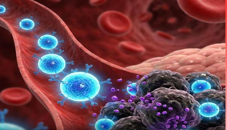 ابتكار علمي جديد قد يغيّر مستقبل علاج السرطان عبر إعادة برمجة الخلايا المناعية داخل الجسم