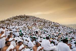 يوم عرفة.. يوم الرحمة الأعظم ومشهد إيماني يتجدد فيه صفاء الروح وتغفر فيه الذنوب وتُعتق الرقاب من النار