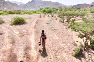 «مسام» ينزع 839 لغماً وذخيرة غير منفجرة خلال أسبوع في عدة محافظات يمنية
