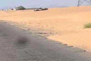 مقتل وإصابة عدد من الأشخاص في تجدد اشتباكات قبلية بوادي عبيدة شرق مأرب