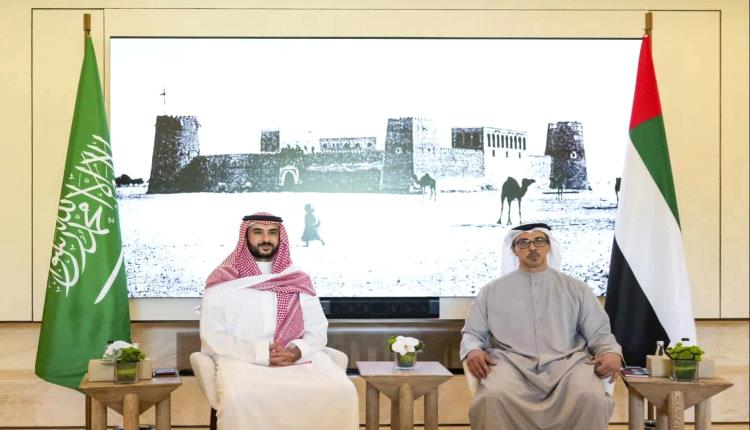 منصور بن زايد وخالد بن سلمان يبحثان تعزيز التنسيق الإماراتي السعودي ومستجدات المنطقة