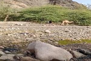 حطاط..... حكاية أرضٍ حباها الله بالجمال ودفء المكان