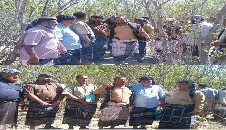 أهالي "ذمثبة" بسرار-يافع يتنازلون عن أرض زراعية لحماية مسجد من الهدم وفتح مسار لطريق (باتيس - رصد)